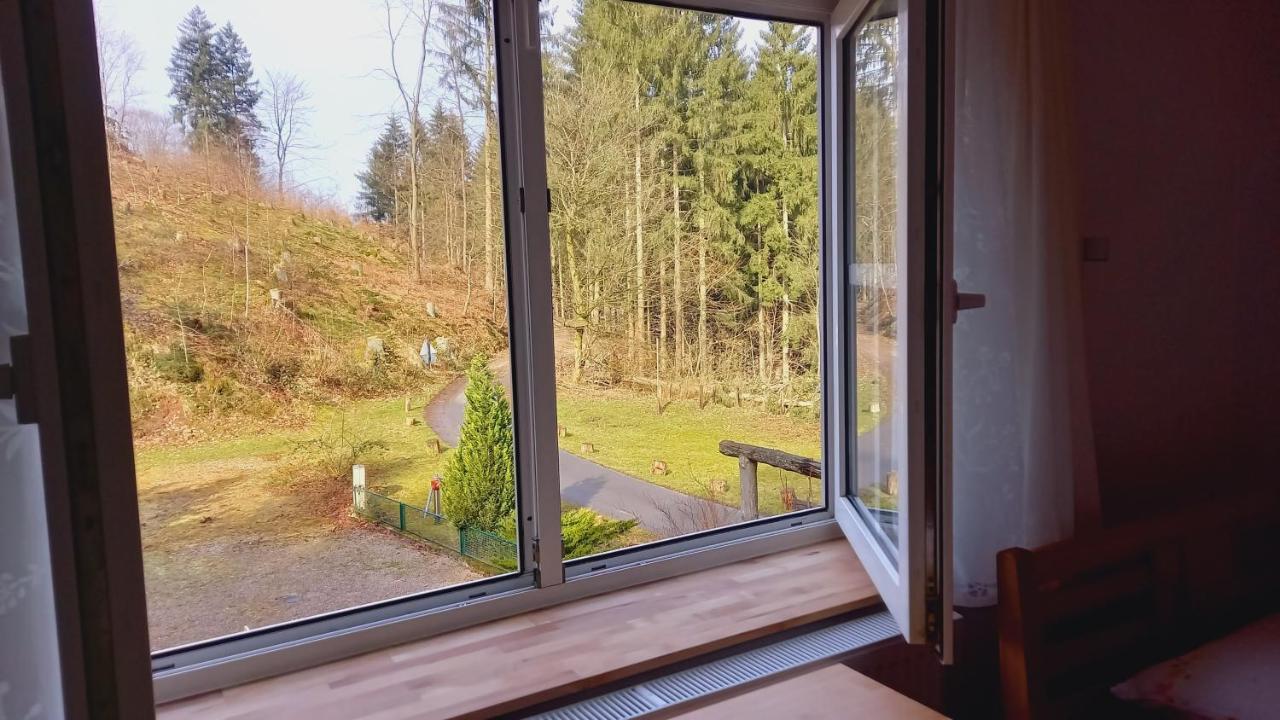 Maison d'hôtes Waldpension Harzer Waldwinkel 2*